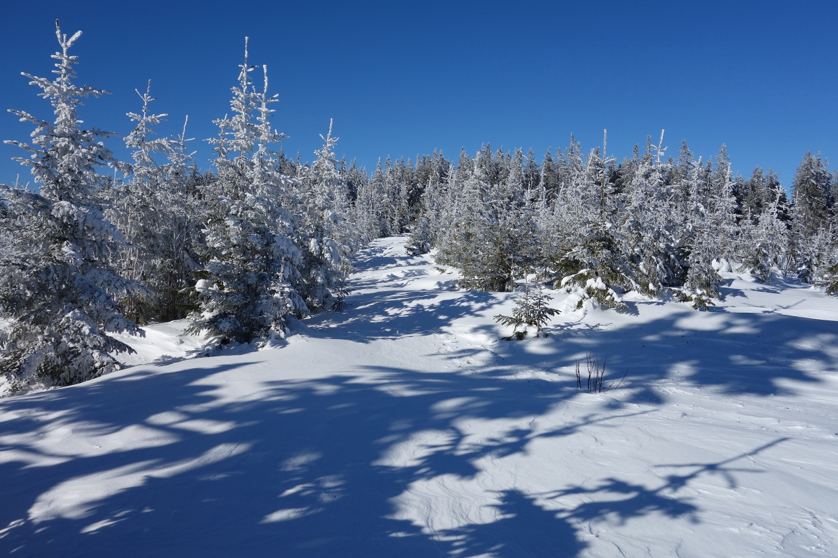 skialpprechod-z-bielej-vody-do-bieleho-potoka